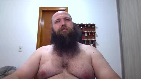 Bear online show from February 6, 3:37 am