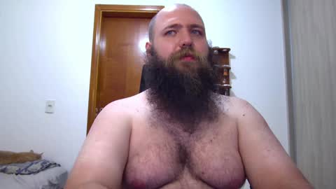 Bear online show from February 7, 6:24 am