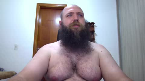Bear online show from February 8, 2:15 am