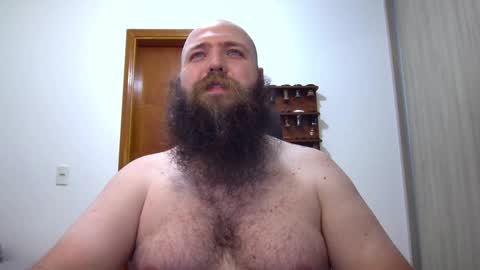 Bear online show from February 9, 3:22 am
