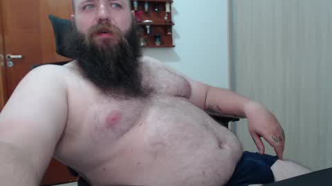 Bear online show from February 17, 7:04 am