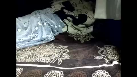 Snapshot of pollachico chatting on February 18, 8:32 am pollachico online show from February 18, 8:32 am