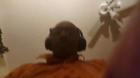 Phil online show from April 8, 7:19 am