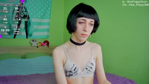 poppyfluffy online show from June 16, 2:30 pm