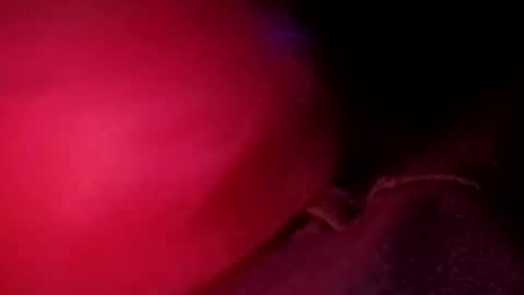 Snapshot of porkchop696974 chatting on February 20, 6:59 am porkchop696974 online show from February 20, 6:59 am