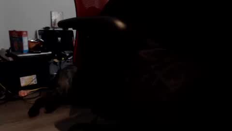 porkdaddy online show from September 9, 5:45 pm