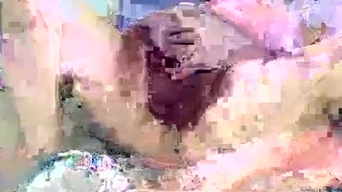dikud0wn online show from September 14, 2:22 am