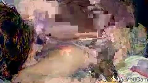 dikud0wn online show from November 2, 4:26 am