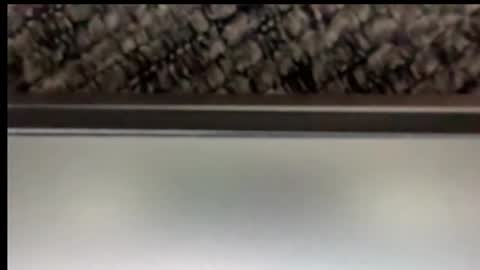 powerstroke345 online show from December 20, 5:09 pm