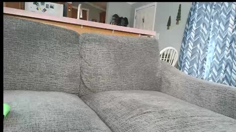 powerstroke345 online show from March 7, 4:15 pm