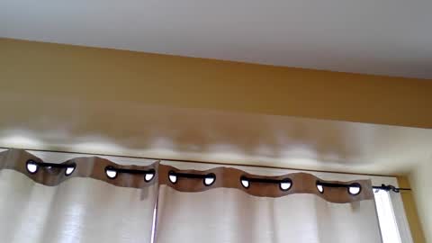 pretty_littletoy online show from March 5, 2:02 pm