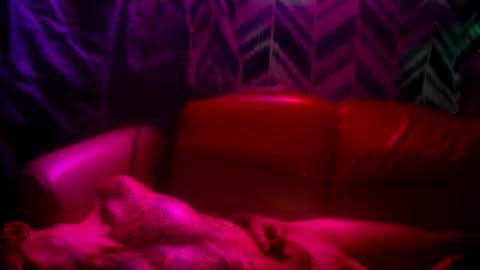 Prettyslangin69 FYPM online show from November 24, 5:12 pm