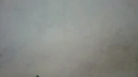Snapshot of prettycarl_2 chatting on March 1, 10:42 pm prettycarl_2 online show from March 1, 10:42 pm