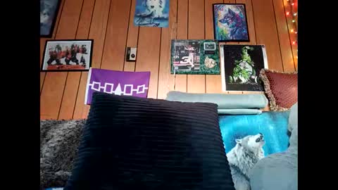 prettysolid7 online show from February 15, 12:58 pm