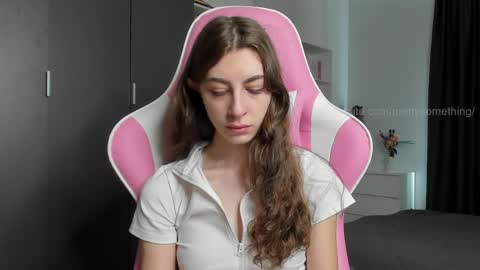 Snapshot of prettysomething chatting on April 17, 7:00 am Sophie next stream will be at Monday i will wait you guys online show from April 17, 7:00 am
