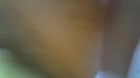 Princess online show from November 17, 11:16 am