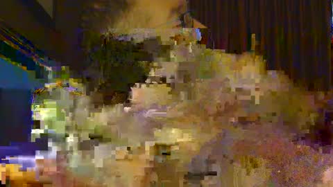 professor21255 online show from September 20, 1:45 pm