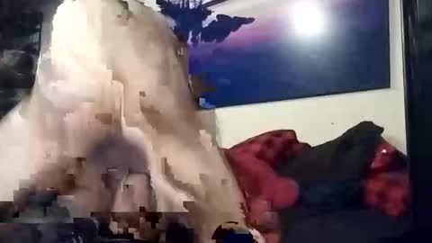 properttw online show from October 13, 4:29 pm