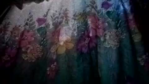 prvive2025 online show from October 5, 7:34 pm