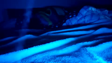 Snapshot of ptut82 chatting on February 15, 9:41 am ptut82 online show from February 15, 9:41 am