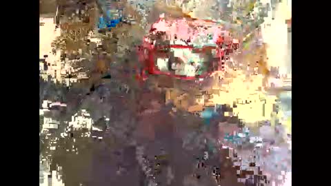 publicexhibto online show from November 20, 3:23 pm