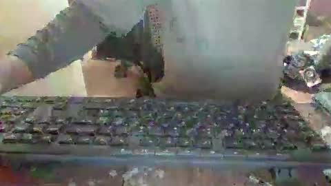 pup_y online show from December 14, 6:56 pm