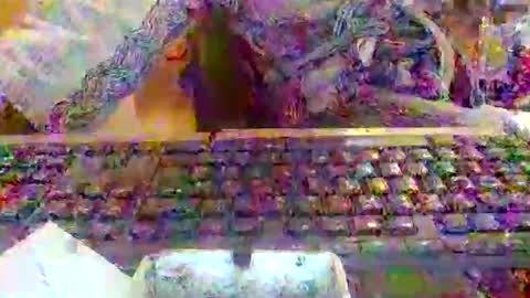 pup_y online show from December 20, 8:10 am