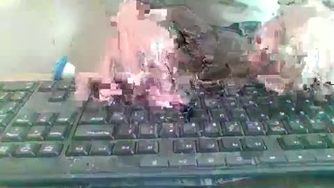 pup_y online show from January 9, 9:56 am