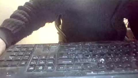 pup_y online show from January 31, 7:11 pm