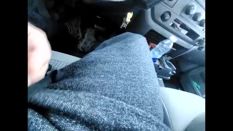 purdyguy7777 online show from December 31, 6:13 pm