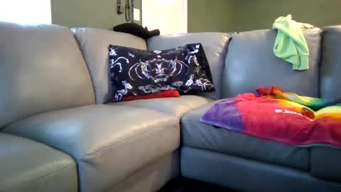 Jelly online show from February 6, 6:13 pm
