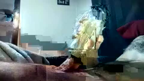 Pussyluver420 online show from October 1, 8:15 pm