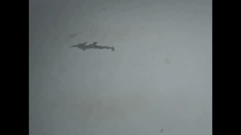 pussyxwetx online show from February 27, 5:02 pm