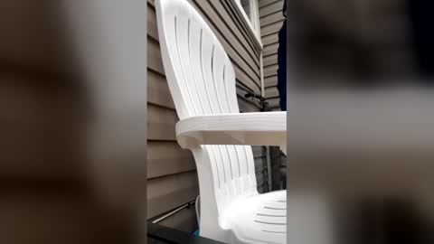 Snapshot of pyrex8 chatting on January 13, 3:17 pm pyrex8 online show from January 13, 3:17 pm