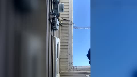 Snapshot of pyrex8 chatting on February 10, 2:32 pm pyrex8 online show from February 10, 2:32 pm