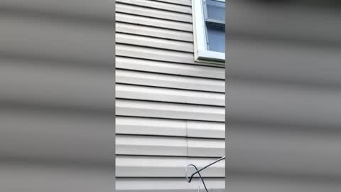 Snapshot of pyrex8 chatting on April 11, 11:36 am pyrex8 online show from April 11, 11:36 am