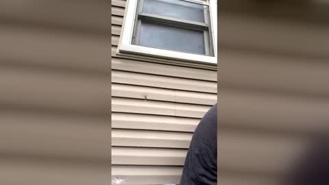 Snapshot of pyrex8 chatting on April 13, 8:58 pm pyrex8 online show from April 13, 8:58 pm