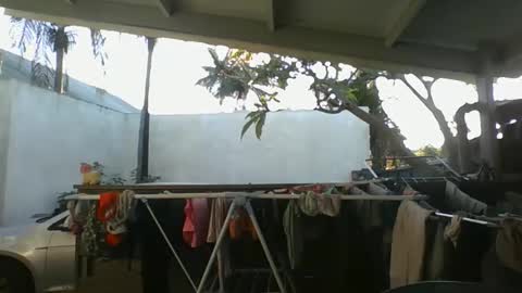 Python online show from October 9, 2:42 am