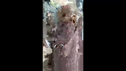 Snapshot of queen_2028 chatting on March 29, 8:58 am queen_2028 online show from March 29, 8:58 am