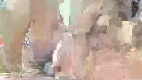 Queen Poppy online show from July 24, 5:55 pm