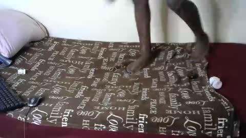 Snapshot of queenmojo_1_1 chatting on January 4, 9:10 am melly online show from January 4, 9:10 am