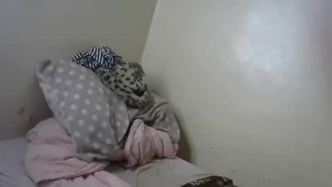 Snapshot of queenmojo_1_1 chatting on January 31, 11:13 am melly online show from January 31, 11:13 am