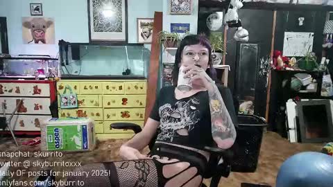 Snapshot of queer_burrito chatting on December 29, 12:20 am Sky Burrito online show from December 29, 12:20 am