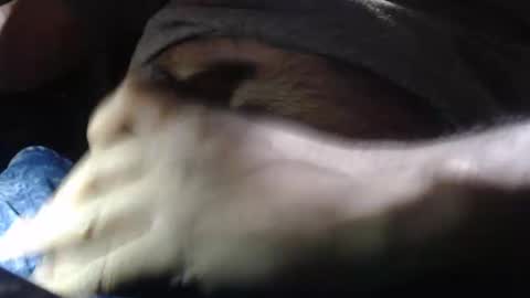 oilypanda online show from December 16, 11:28 pm