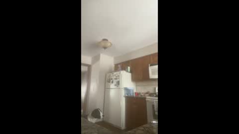 Snapshot of rabbi_poolnoodle chatting on January 16, 7:51 pm rabbi_poolnoodle online show from January 16, 7:51 pm