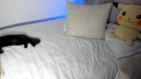 natalia  -  online show from January 28, 9:30 am