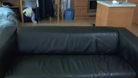 Snapshot of rafaelosteel chatting on November 5, 3:56 pm rafaelosteel online show from November 5, 3:56 pm