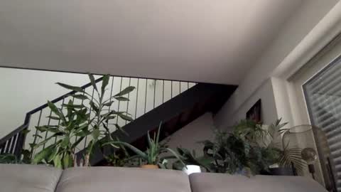 Snapshot of ramler0815 chatting on May 7, 8:20 am ramler0815 online show from May 7, 8:20 am