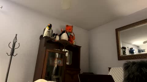    RAMONA Q   online show from December 4, 8:56 am