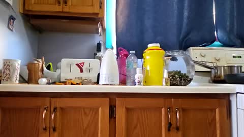 Randcandy77 online show from November 14, 7:45 pm